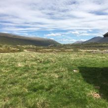 Fint vær oppe på fjellet ved Haverdalseter Turisthytte